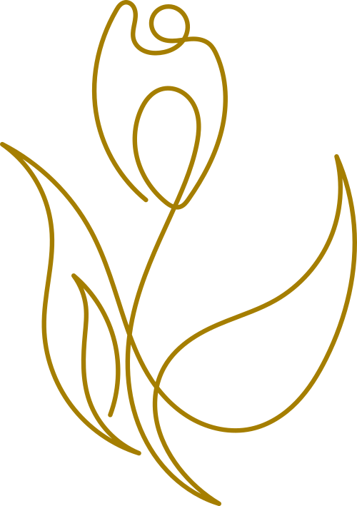 Tinkerbelle Collections